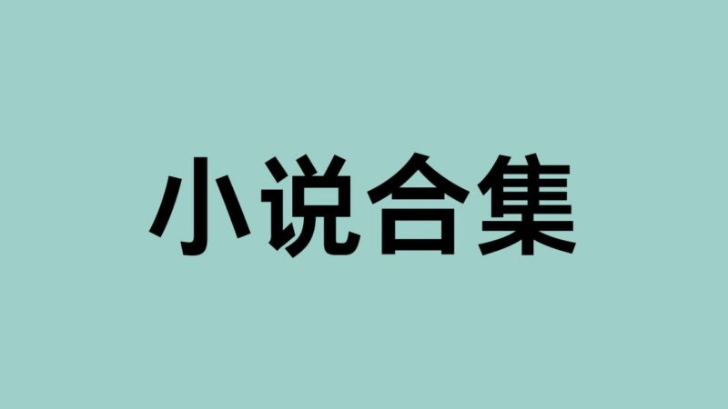 名称:某网站22万本网络小说合集,全站精品小说阅读推荐-课程资源网
