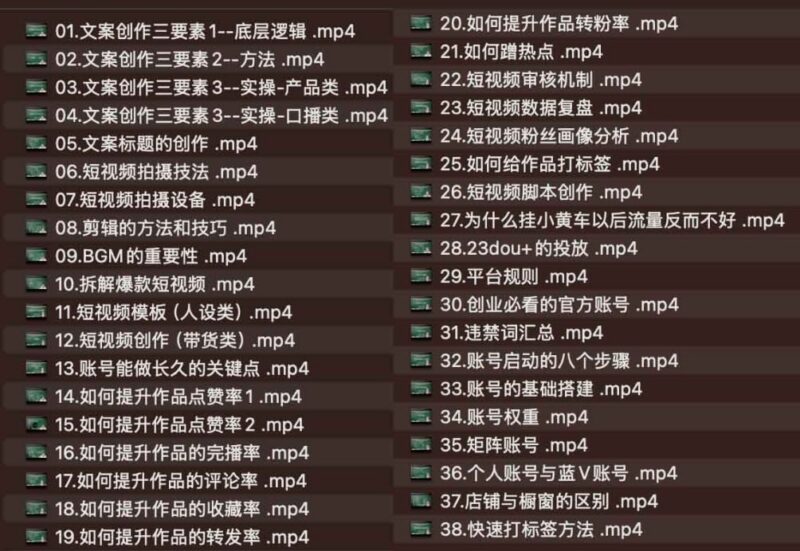 短视频创作与运营，掌握短视频创业的核心逻辑与思维-课程资源网