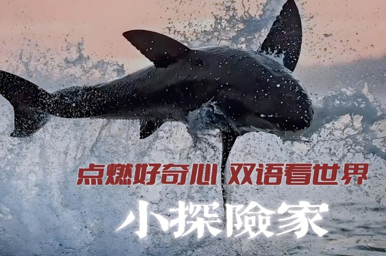 《小探险家》儿童科普启蒙双语百科：开启科学探索之旅-课程资源网