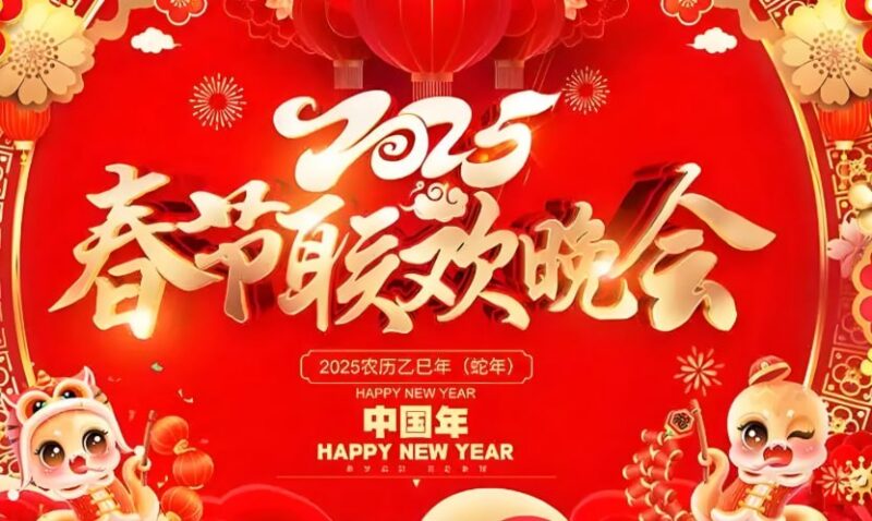 2025各电视台春节联欢晚会合集，全平台节目汇总与亮点-课程资源网
