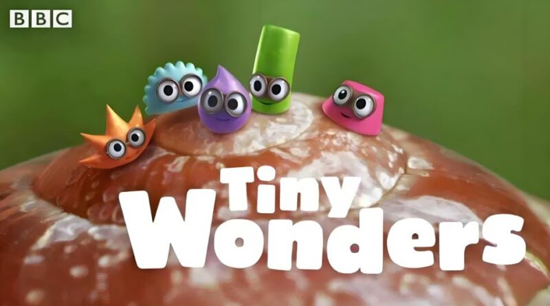 BBC少儿科普动画《小奇迹 Tiny Wonders》1-5季全集（视频+音频）-课程资源网