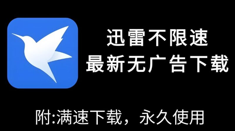 迅雷PC去广告SVIP绿色精简版下载，最终优化版高速无弹窗体验-课程资源网