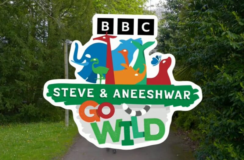 BBC户外自然科普英语启蒙,《Go Wild》视频+音频全集-课程资源网